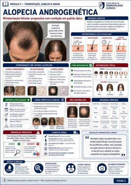 Ficha visual de dermatologia sobre alopecia androgenética