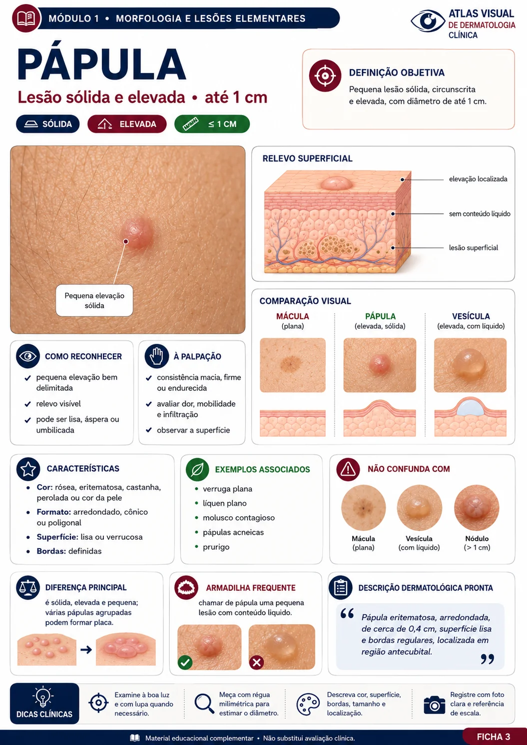Ficha visual de dermatologia sobre pápula